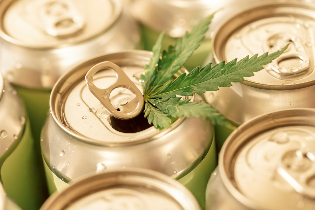 Cans of CBD Drinks with a hemp leaf
