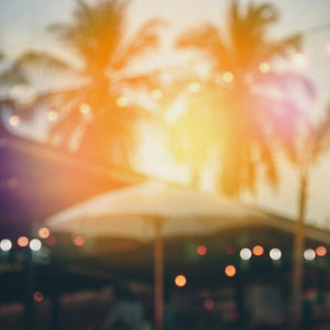 A blurred photo of two palm trees and a shade canopy