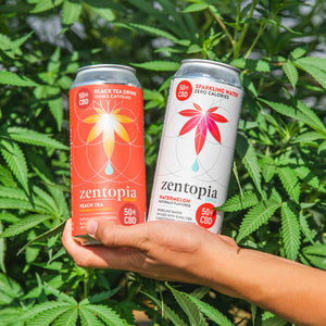A can of Zentopia Peach Boost CBD Caffeinated Black Tea and a can of Watermelon Chill CBD Sparkling Water