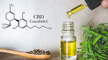 How Long Do I Need to Take CBD Before I Start to Feel the Benefits?