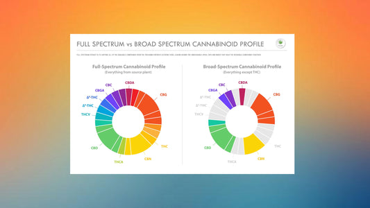 Full-Spectrum vs. Broad-Spectrum CBD: What’s the Difference and Which Is Right for You?