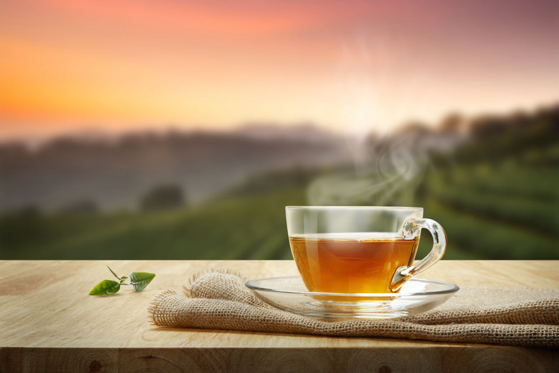 CBD Tea: What You Need to Know - Types, Effects & Benefits | Featured Image