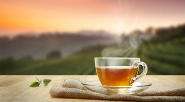 CBD Tea: What You Need to Know - Types, Effects & Benefits | Featured Image