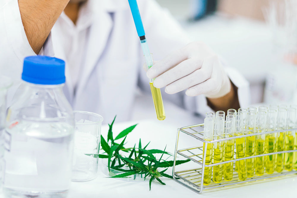 What Makes a Quality CBD Drink? A Peek Behind Zentopia’s Lab Testing Process