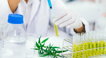 What Makes a Quality CBD Drink? A Peek Behind Zentopia’s Lab Testing Process