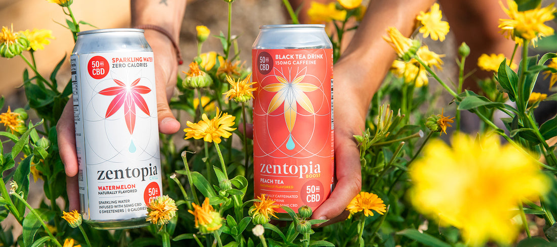 A can of Zentopia CBD Sparkling Water and a can of Zentopia Peach CBD Tea in a bed of flowers