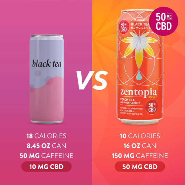 Boost & Chill Mixer -  CBD Tea & Sparkling Water